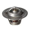 Mercury Thermostat Kit, 160°F (GM MerCruiser V6 & V8) 807252T5