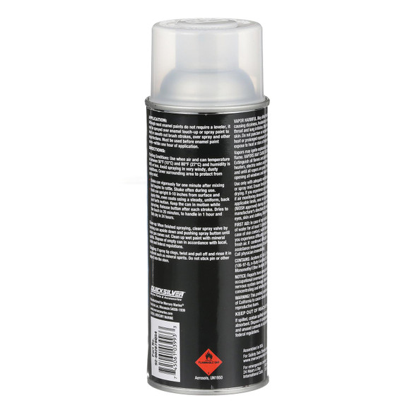 Quicksilver Clear Leveler Spray Paint (12 oz) 802878Q54