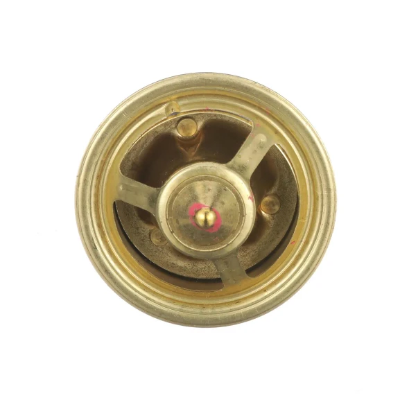 Mercury Thermostat Kit, 160°F (GM MerCruiser V6 & V8 Closed Cooling) 99155T1