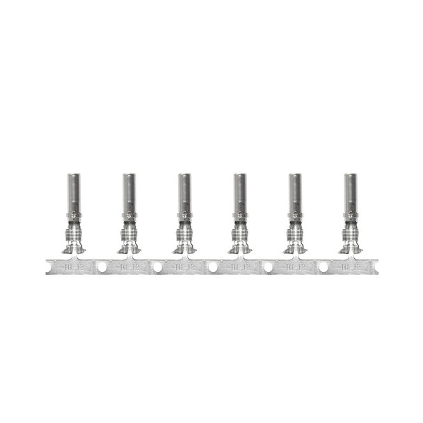 Pacer DTP Deutsch Socket f\/10 AWG Wire - Size 12 Contact (10 Pack) [T10DTP-S-10]
