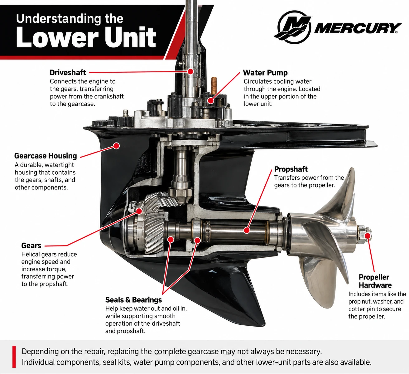 Outboard Lower Unit Anatomy Outboard Lower Unit Anatomy