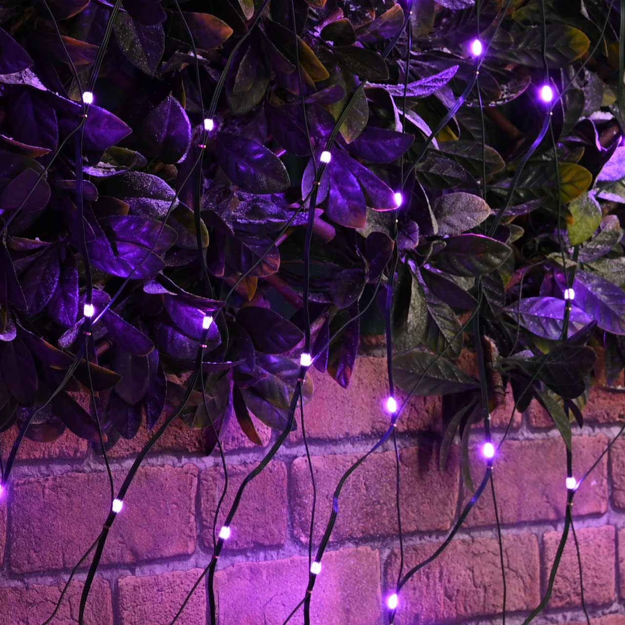 Festive 200cm x 200cm Colour Changing Net Light With Remote