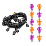 Halloween Festoon Light Premium 5m Connectible Outdoor Orange & Purple with 10x LED GLS 2