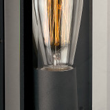 Firstlight Dallas Modern Style Lantern in Black and Clear Glass 2