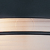 Firstlight Streamline Modern Style 140mm Bulkhead Eyelid in Black and Opal Glass 2