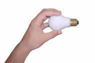 Bulb Safety and Disposal