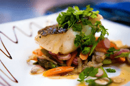 Light Meals - How LED Light Bulbs and Light Can Be Used to Enhance Food
