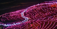 The Shiroyone Senmaida Rice Paddies Sparkle with LED light bulbs