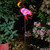 Smart Solar LED Flamingo Stake Light 1