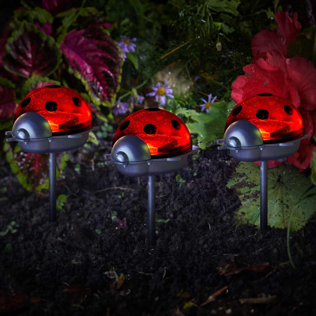 Smart Solar LED Ladybird Stake Light (3 Pack) 1