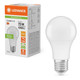 Ledvance GLS LED Light Bulb E27 10.5W (75W Eqv) Dim Warm White Opal Performance Class Screw Frosted 2