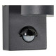 Zinc LETO Outdoor Downlight with PIR Anthracite Grey 3