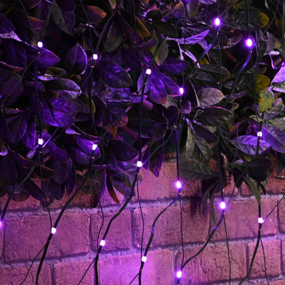 Festive 200cm x 200cm Colour Changing Net Light With Remote 2