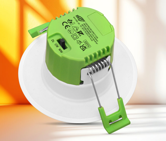 LED Downlight CCT