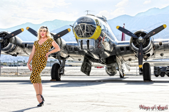 Wings of Angels Michael Malak Caitlin Litzinger 02 WWII B-17G Flying Fortress