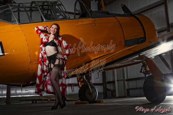 Wings of Angels Michael Malak Pin Up Judy Luck in Lingerie WWII SNJ-5 Texan