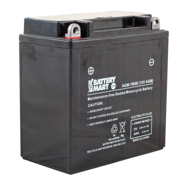 YB9-B AGM Maintenance Free Battery