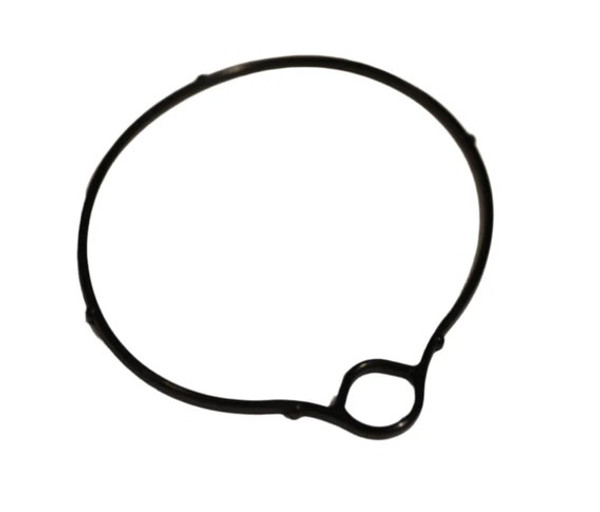 Float Chamber Gasket - Genuine Buddy 50, Roughhouse 50