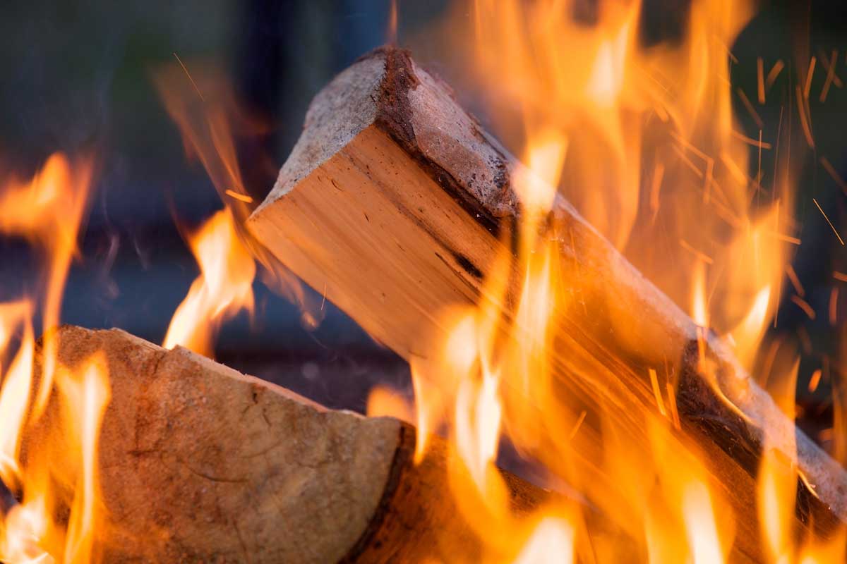 Kiln Dried Logs For Sale Near Me - Buying Guide For ...