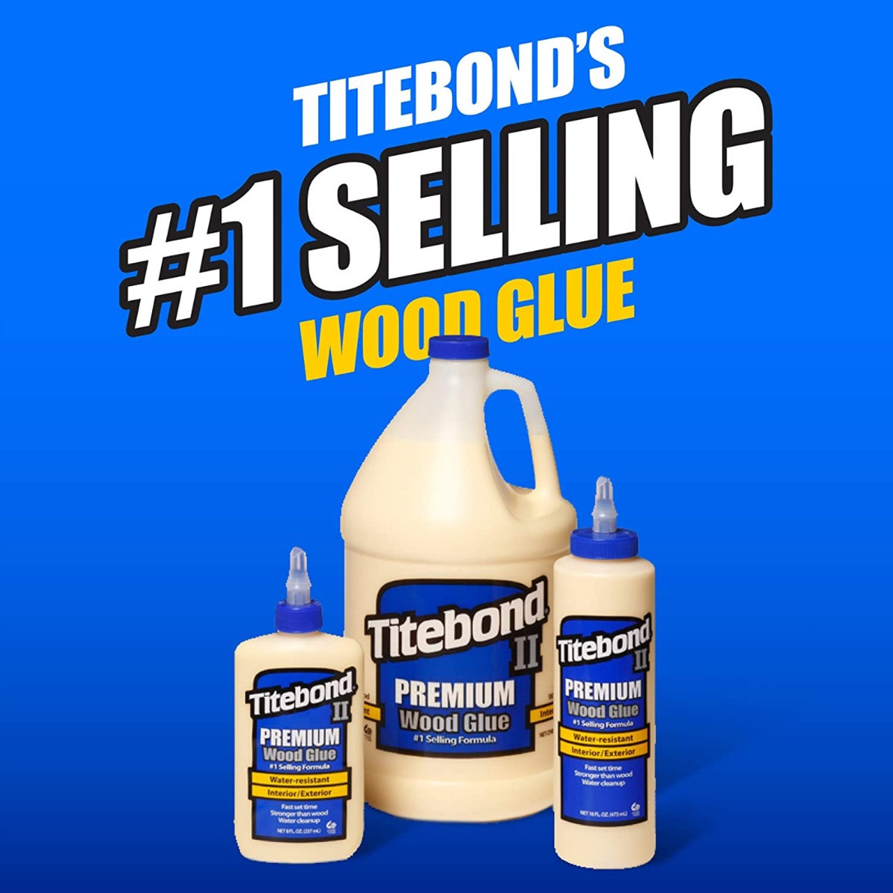 Water-Resistant Wood Glue - Titebond II Premium, 16oz