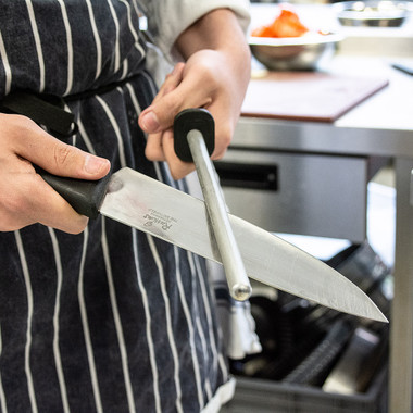 Trend Diamond Steel 10-Inch Fine Grade File, Industrial Quality Diamond Sharpening Tool for Kitchen, Professional Cooks, Caterers, Butchers & Fishermen, DWS/DS10/F