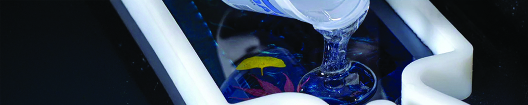 Brand Banner