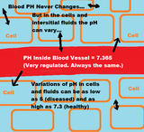 How & Why to Test & Regulate Body PH