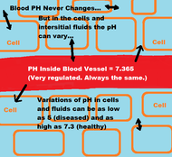 How & Why to Test & Regulate Body PH