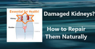 Damaged Kidneys? [How to Repair Them Naturally]