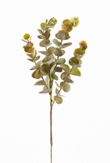 15" Eucalyptus Spray, Tan & Green Leaves