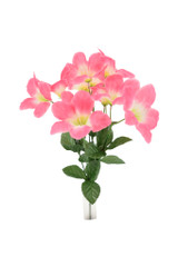 15" Morning Glory Bush, Beauty