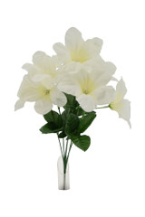 15" Morning Glory Bush,  Cream