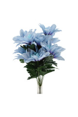 Zinnia Bush, Blue & Lavender