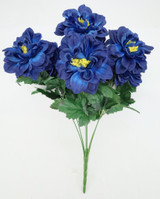 Zinnia Bush, Royal Blue