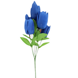 14" Tulip Bush, Royal Blue