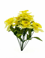 Yellow Daffodil Bush