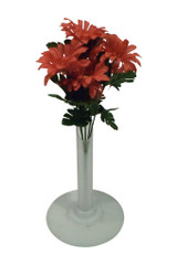 Gerbera Daisy Bush, Red