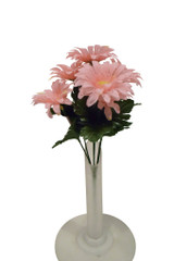 Gerbera Daisy Bush, Pink