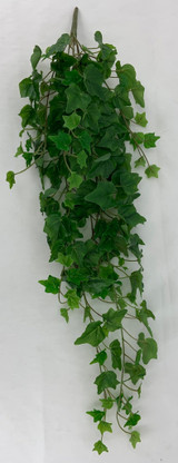 34" English Ivy Hanging Bush