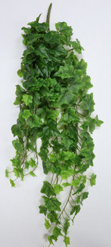 34" Hanging English Ivy Bush