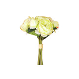 Peony Bundle, Light Green