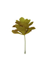 6" Flat Succulent Pick