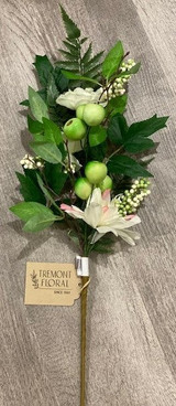 24" Dahlia, Gerbera Daisy & Balausta Spray , Green & Cream