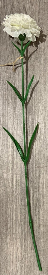 24" Carnation Stem, Cream