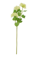 23.5" Mini Hydrangea Spray, Light Green