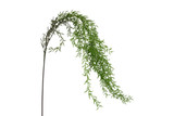 51" Hanging Leaves Spray