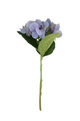 13.7" Hydrangea Pick, Lavender