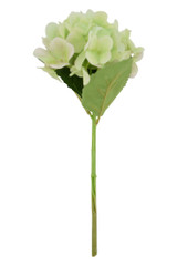 13.7" Hydrangea Pick, Light Green