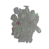 Iridescent Rose Petals, 300ct.