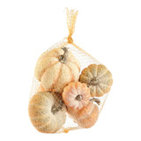 Assorted Textured & Powdered Pumpkins - Set of 6